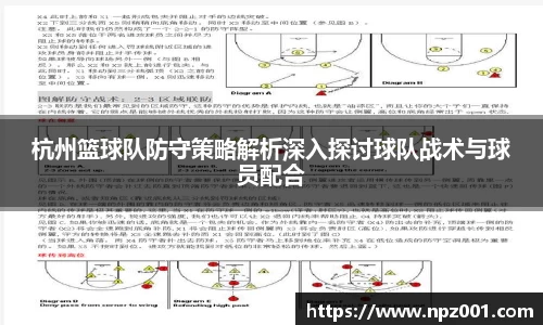 杭州篮球队防守策略解析深入探讨球队战术与球员配合